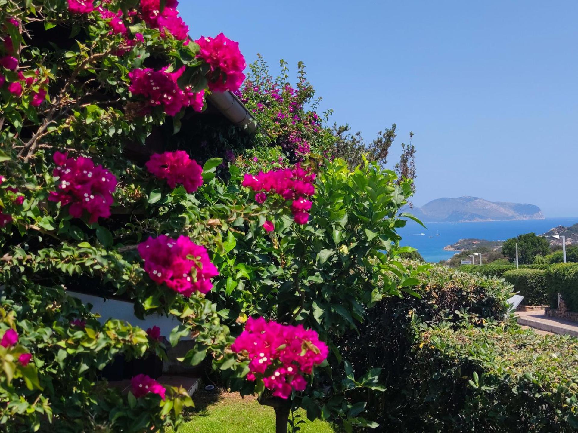 Capo Ceraso Family Resort Costa Corallina Szoba fotó