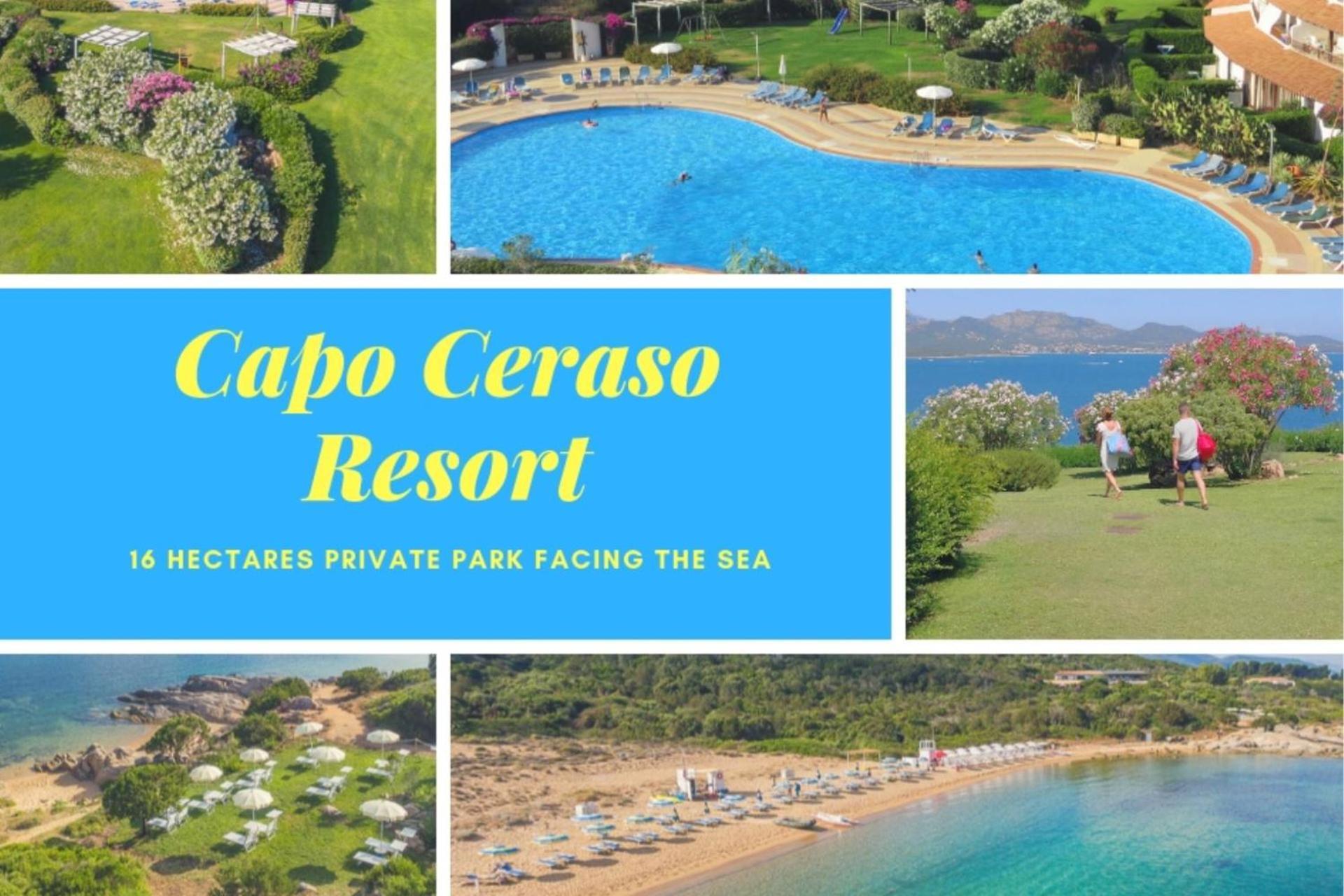 Capo Ceraso Family Resort Costa Corallina Kültér fotó